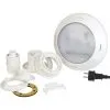 Projecteur LED Blanc Pour Piscine Bois - Gré