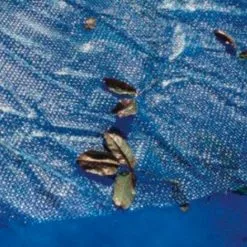 Gré Bâche à Bulles Ovale 180µ - 5 M X3 M De Gre -Grès Soldes 29063419 4